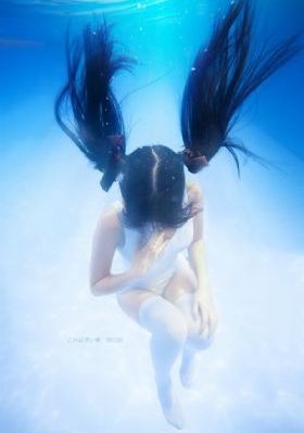 电视剧神圣使命全集免费观看_720在线视频播放